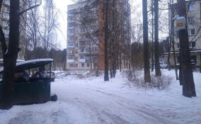 В Сосновом Бору на контейнерных площадках ставят камеры