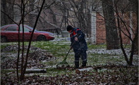 В Кингисеппском районе оштрафовали учреждение за нарушения в сфере охраны окружающей среды