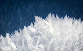 Морозы до -26, ветер и местами снег: прогноз погоды в Ленобласти на 7 февраля