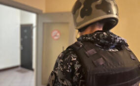 Бытовой конфликт в Петербурге чуть не закончился поножовщиной