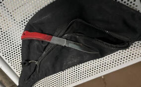 Пьяный житель Лужского района угрожал ножом работнице кафе в центре Петербурга