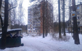 В Сосновом Бору установили видеонаблюдение за контейнерами