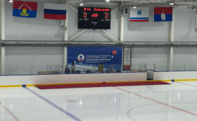 Во Всеволожске готовятся к открытию соревнований по хоккею с мячом