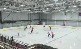 Сборная Ленобласти по хоккею с мячом одержала победу над командой из Мурманской области