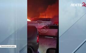 В Ломоносовском районе спасатели потушили пожар в промзоне