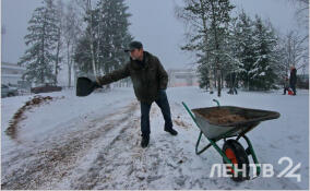 Ветрено, холодно и небольшой снег: прогноз погоды в Ленобласти на 10 февраля