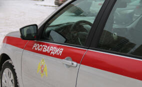 Сотрудники Росгвардии вернули домой 13-летнюю девочку из Всеволожского района