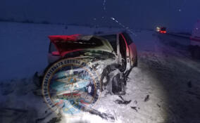 Kia и Volvo столкнулись в лобовую на трассе «Кола»