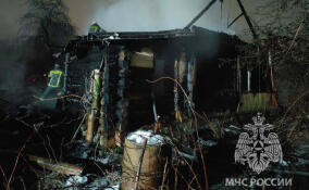 В сгоревшем доме в Кингисеппском районе нашли тело мужчины
