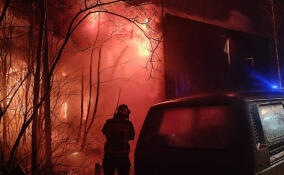 95 пожаров потушили в Ленобласти за минувшую неделю