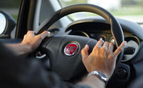 Жителя Ленобласти заподозрили в покупке водительских прав