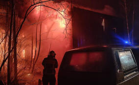 За сутки в Ленобласти ликвидировали 11 пожаров и последствия 5 ДТП