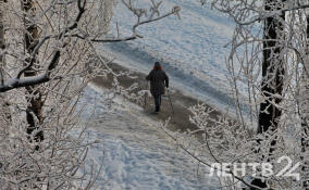 Повышение температуры и небольшой снег: о погоде в Ленобласти 10 февраля