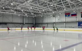 Команда Ленобласти сыграет со сборной из Петербурга на соревнованиях по хоккею с мячом