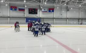 Ленинградцы обошли петербуржцев в матче по хоккею с мячом на зимних играх