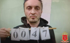 Мужчину задержали за ограбление рабочего в Кингисеппе