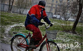 За сутки в Петербурге выпало более 4 см осадков