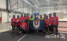 Ленинградцы обыграли команду из Хабаровского края в матче по хоккею с мячом на зимних играх Александра Невского