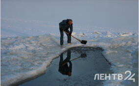 До -20 ночью и до -11 днем: прогноз погоды в Ленобласти на 11 февраля