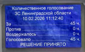 Депутаты Заксобрания Ленобласти одобрили законопроект о льготах на оплату электроэнергии