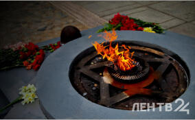 С мемориала «Памяти павших» в Киришах украли цветы