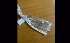 Петербуржца задержали за кражу золотого браслета в поезде