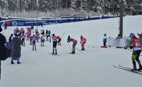 В Токсово дали старт лыжной эстафете I зимних игр Александра Невского