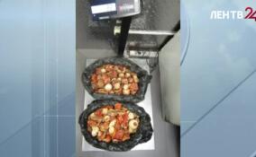 Мухоморы из России в Эстонию не позволили вывезти таможенники в Ивангороде