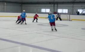 Гала-матч по хоккею с мячом на Играх Александра Невского завершился победой команды мальчиков