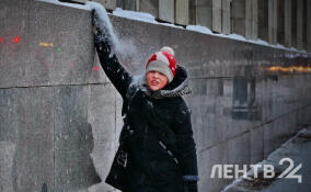 Небольшой снег и до -12: прогноз погоды в Ленобласти на 12 февраля