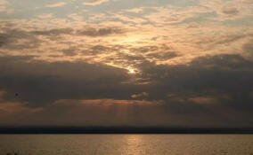 В Ленобласти займутся разработкой проекта «Чистая Ладога»