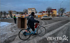 Снег и до -12 градусов пообещали жителям Ленобласти 12 февраля