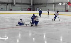 Во Всеволожске завершились турниры по хоккею с мячом зимних игр имени Александра Невского