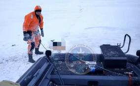 На Ладоге погиб лыжник из Карелии