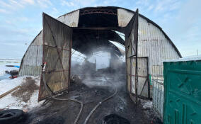 За сутки в Ленобласти потушено десять пожаров: погиб один человек