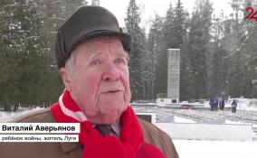 В 82-ю годовщину со дня освобождения Луги жители города почтили память героев