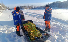 На озере в Приозерском районе спасли попавшего в беду мужчину
