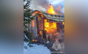 Огонь уничтожил баню в СНТ под Лесколово