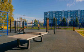 Всеволожск, Гатчина и Выборг стали лидерами голосования за благоустройство