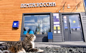 В Сертолово отказались закрывать два почтовых отделения