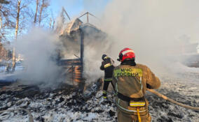 «22 пожара и одна авария»: спасатели Ленобласти подвели итоги дежурных суток