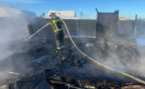 За сутки в Ленобласти потушено 11 пожаров