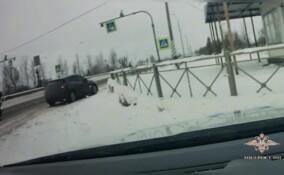 В Ленобласти водитель иномарки сбил полицейского и пытался избавиться от наркотиков