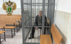 Суд арестовал жителя Приморского края за нападение на человека на трассе М-10