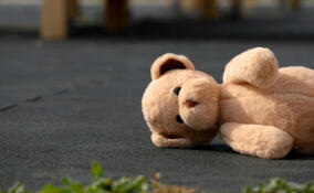 За выходные рёбенок погиб и ещё один пострадал в ДТП в Ленобласти