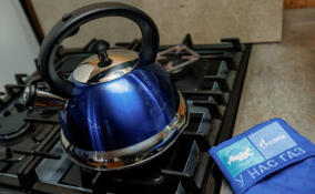 Жители еще 68 домов в Васкелово смогут провести к себе сетевой газ