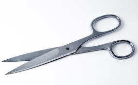 Женщину будут судить за угрозы убить сотрудницу опеки в Петербурге