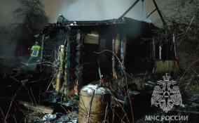 Почти 80 пожаров случилось в Ленобласти за минувшую неделю