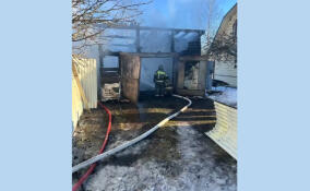 За сутки в Ленобласти ликвидировали 13 пожаров