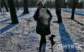 Небольшой снег и до -11 градусов пообещали жителям Ленобласти 17 февраля